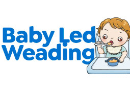 BLW Baby Led Weaning