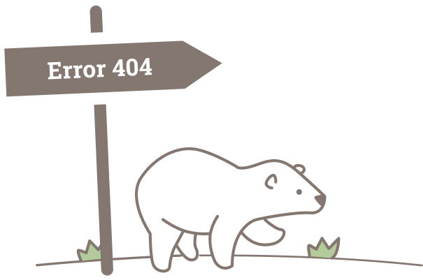 Bear drawing with 404