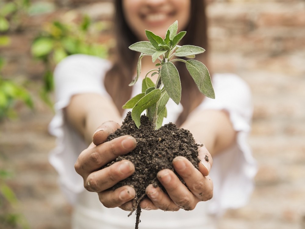 Mujer con planta en la mano