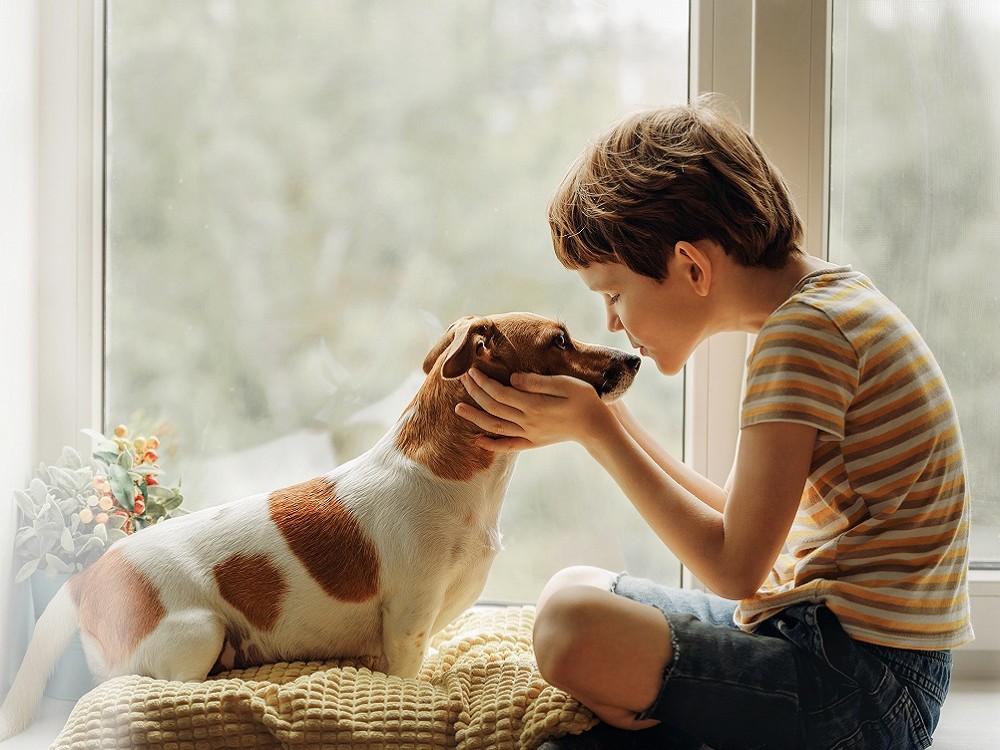 Enseñar a los niños a respetar los animales