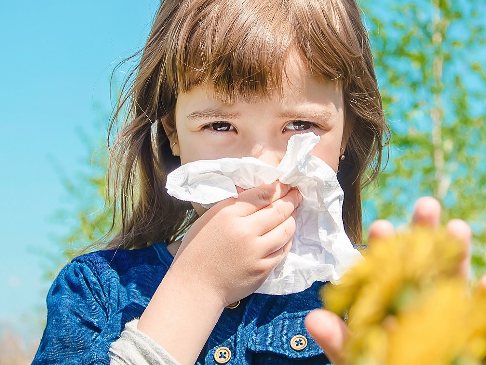 Cómo prevenir la alergia al polen